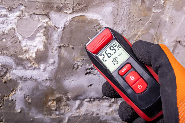 Best Preventive Mold Services in Soap Lake, WA