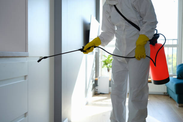 Best Residential Mold Remediation in Soap Lake, WA